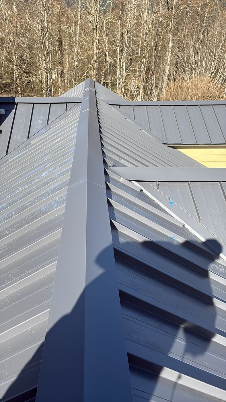 Volkers roofing project 29